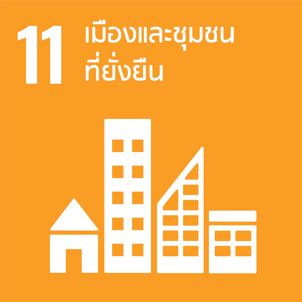 SDG 11