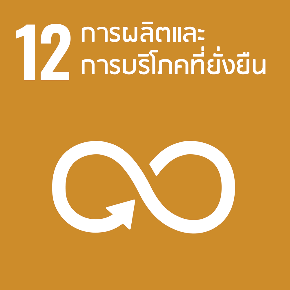 SDG 12