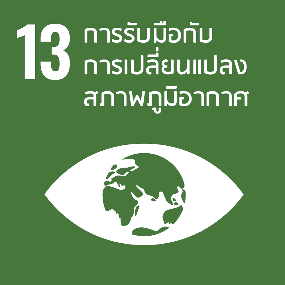 SDG 13
