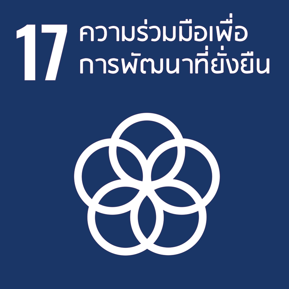 SDG 17