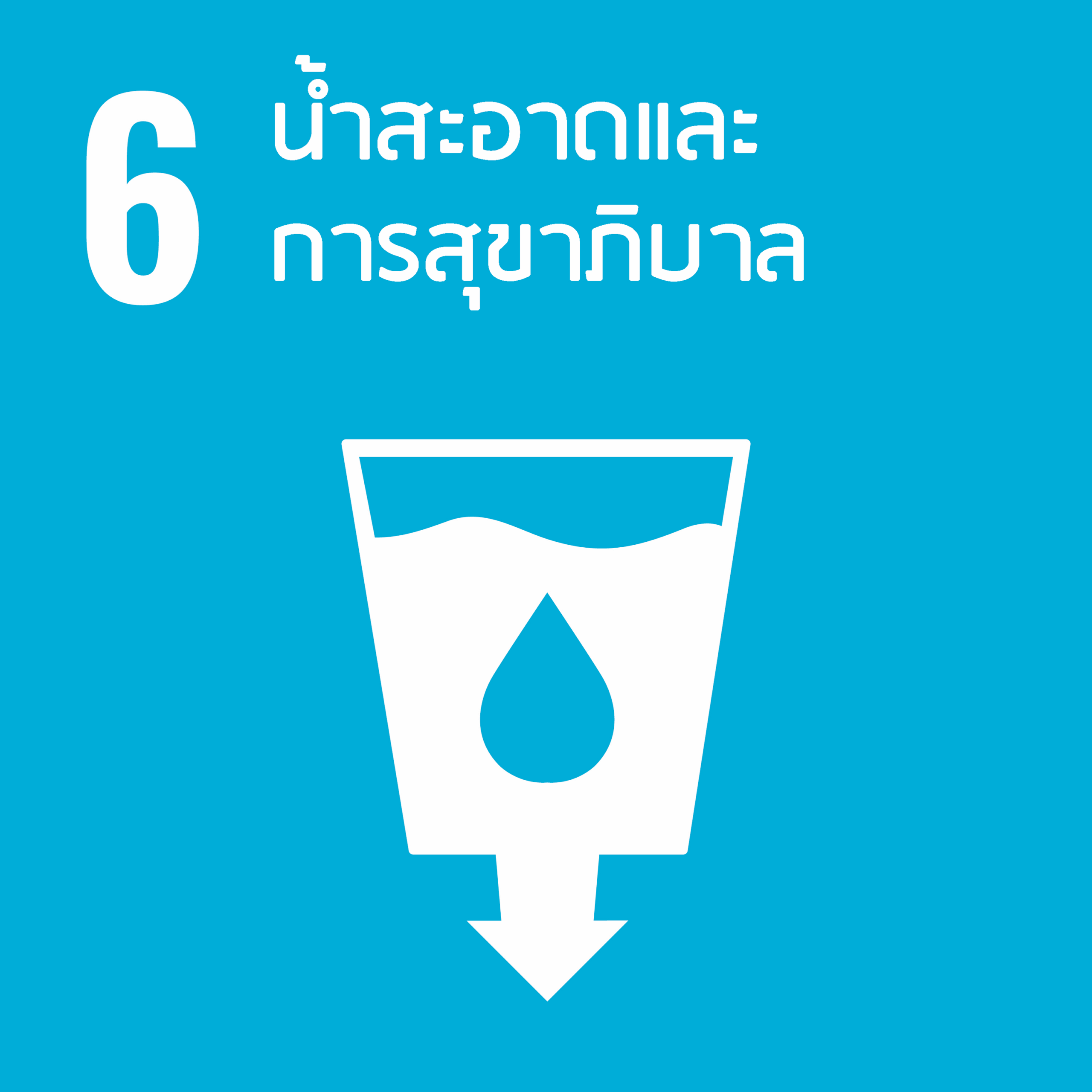 SDG 6