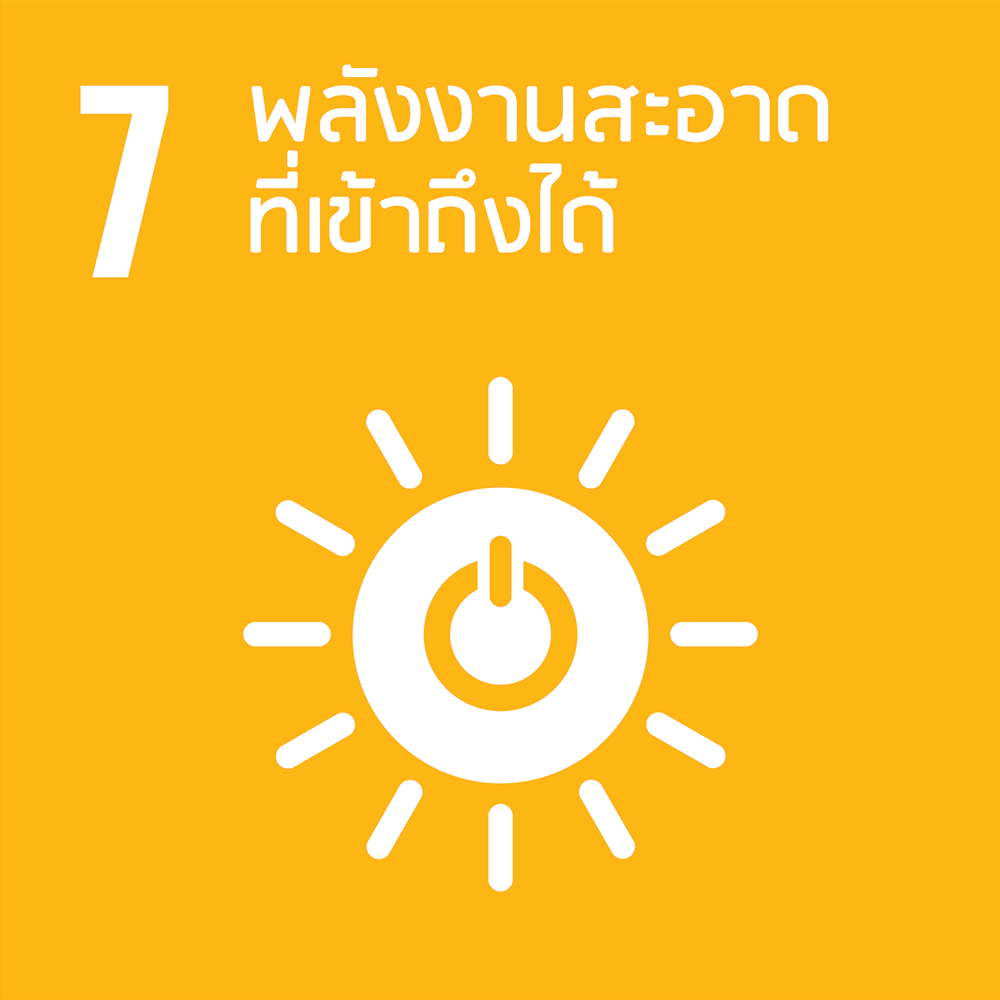 SDG 7