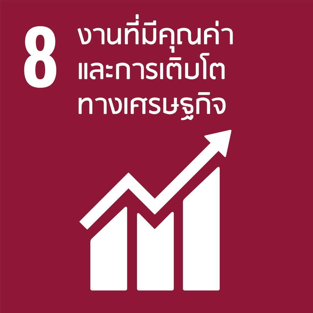 SDG 8