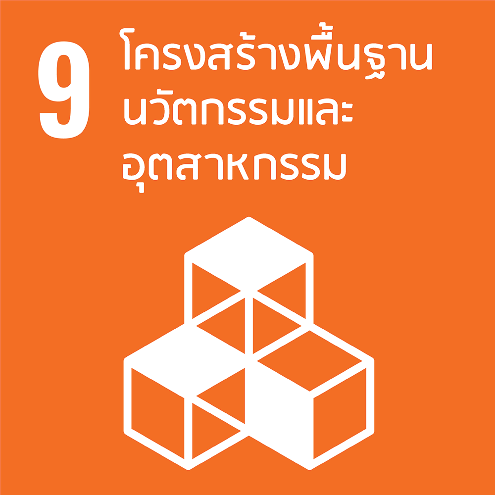 SDG 9